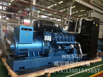 濰柴博杜安800kw柴油發電機組